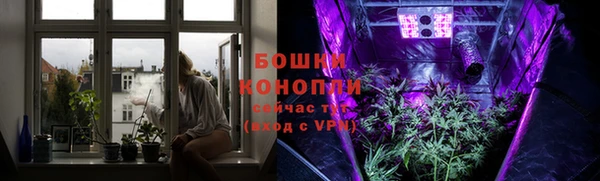 амф Богородицк