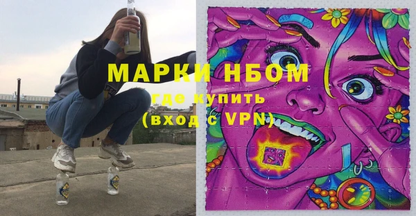 СК Богородск