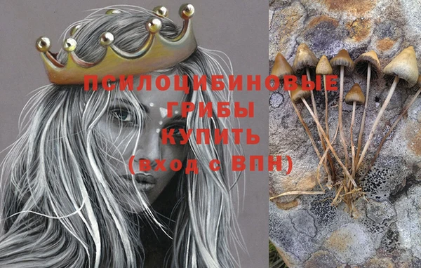 прущая мука Богданович