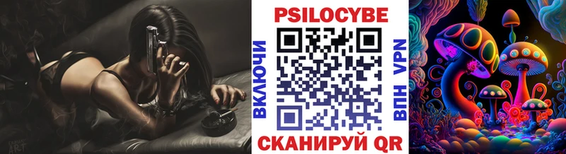 Псилоцибиновые грибы Cubensis  Череповец 